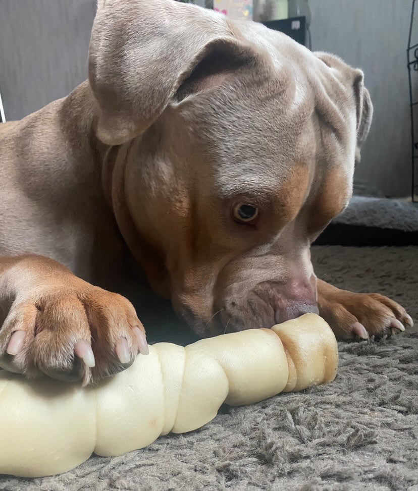 Giant Bully Roll (Approx 40 - 50cm)