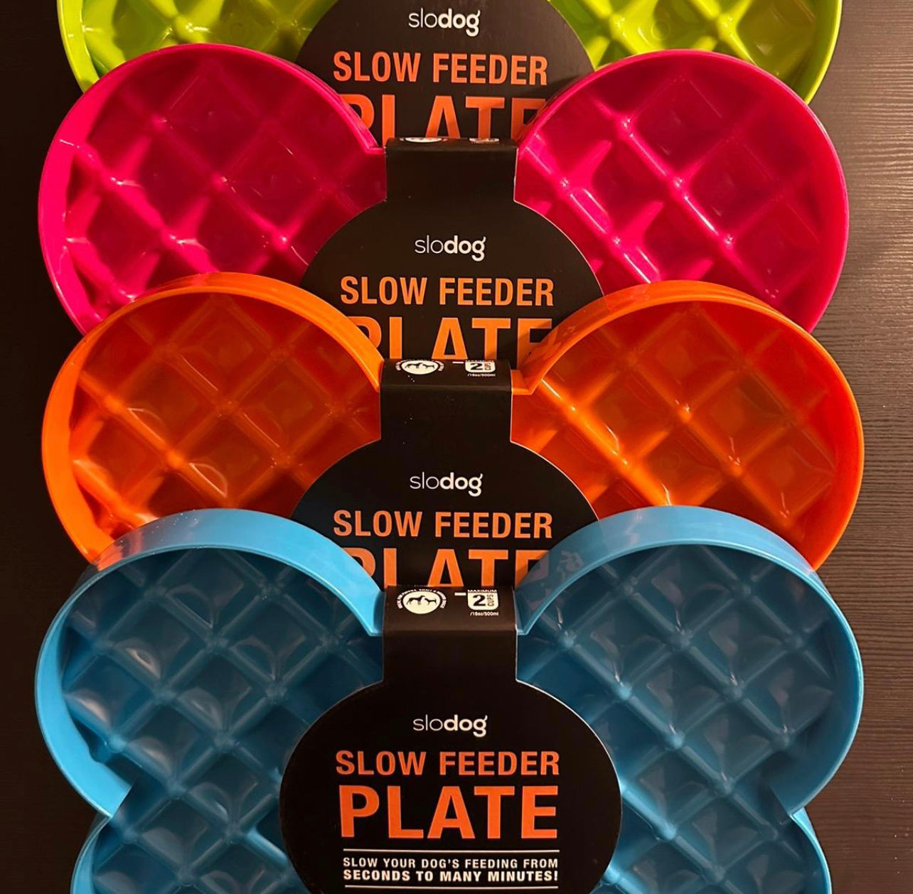 Slodog - Slow Feeder Plate